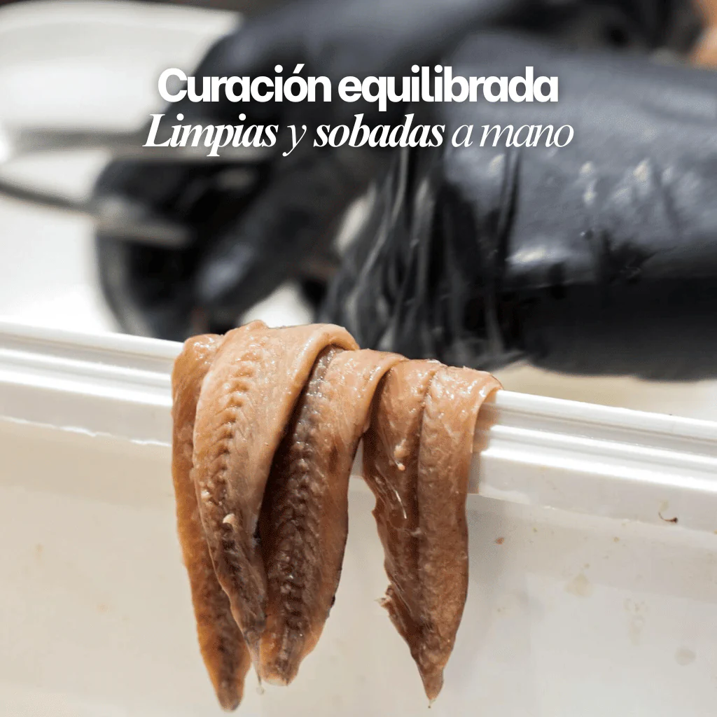 Filetes de anchoa del Cantábrico "00" Premium - Image 8