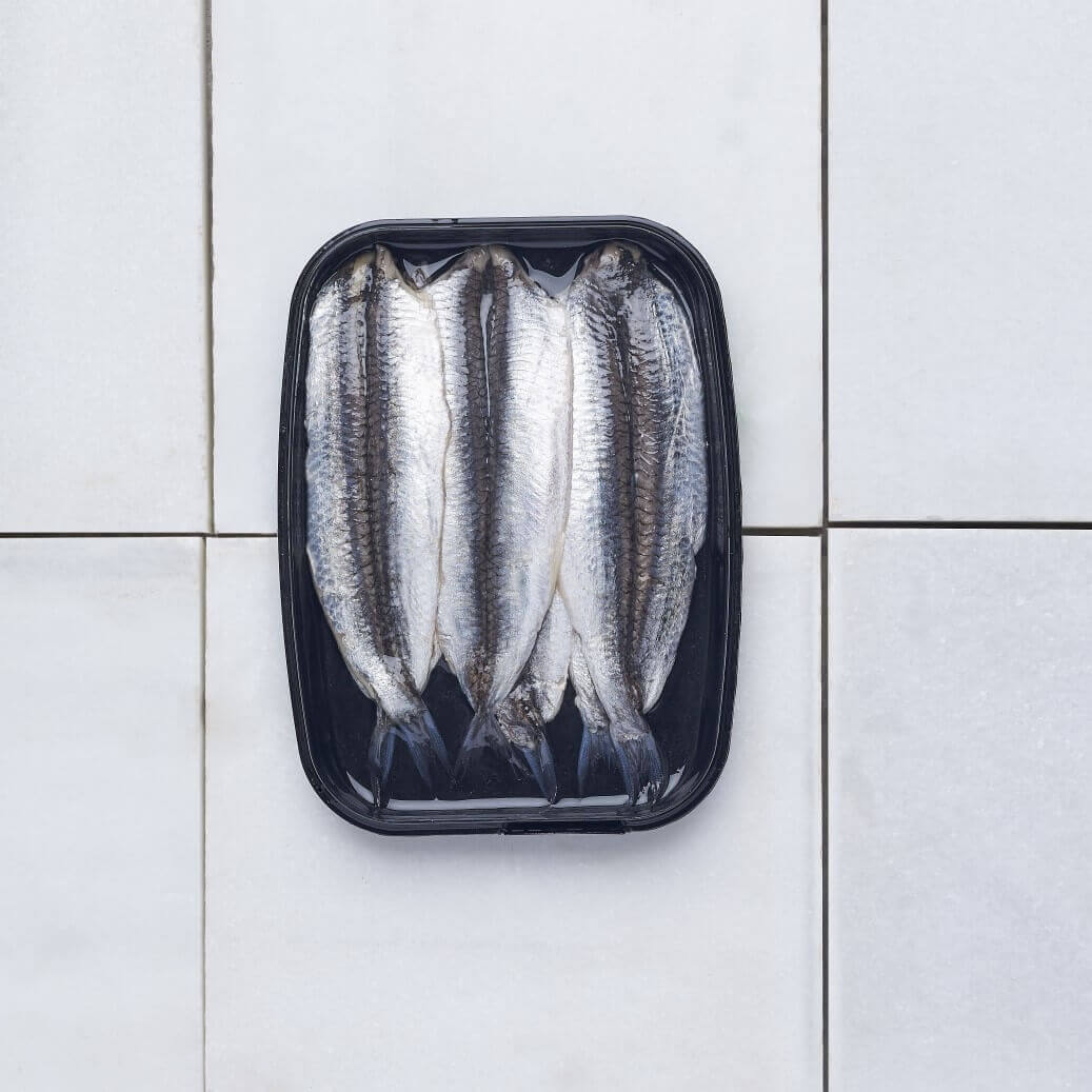 Filetes de Boquerón en Vinagre Gourmet - Image 7